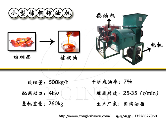 小型棕榈榨油机