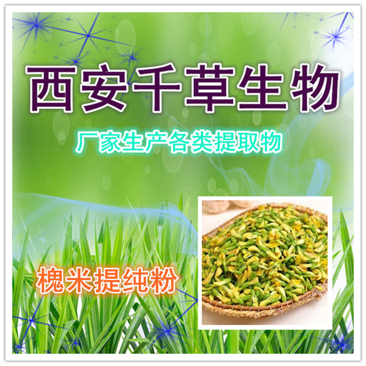 槐米提纯粉