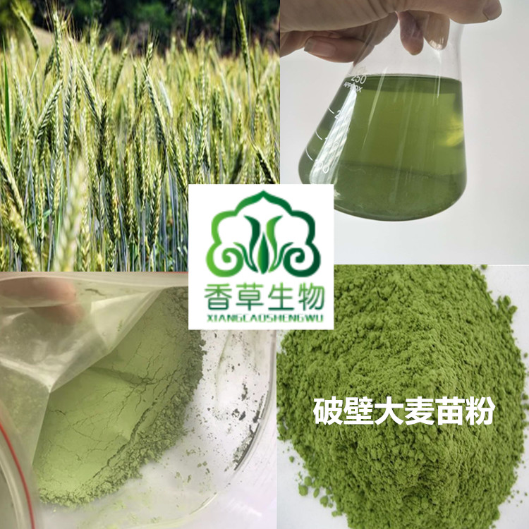 麦苗提取物