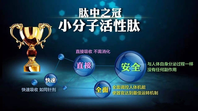 天瑞模板_副本_副本