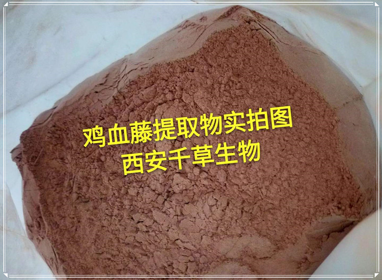 八角茴香实拍图