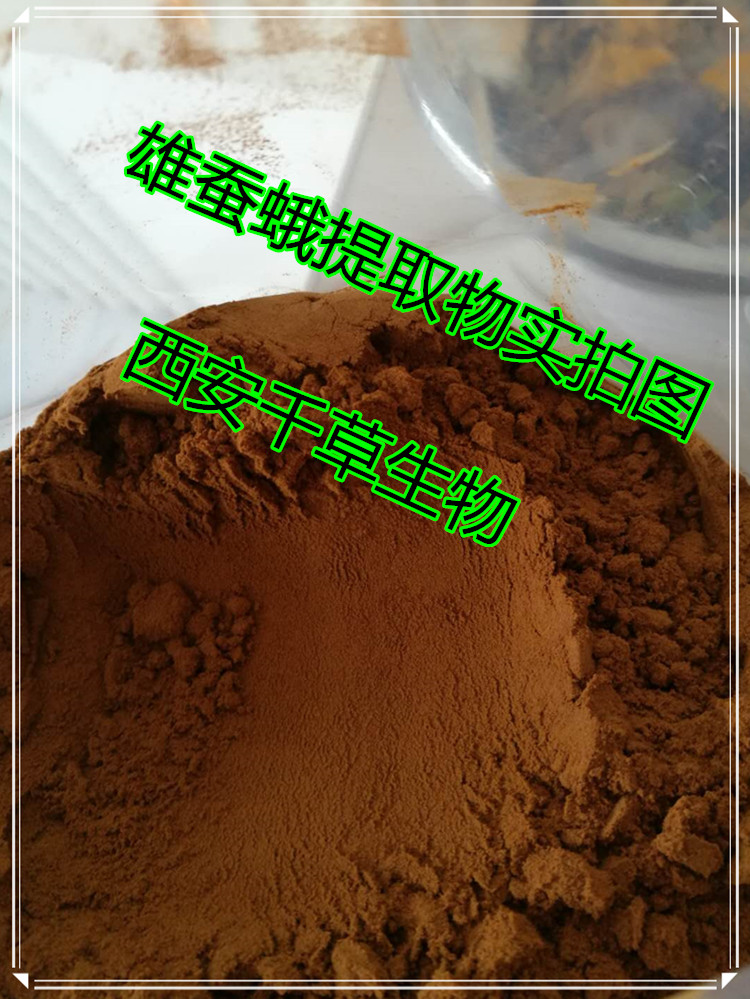 雄蚕蛾提取物实拍图00