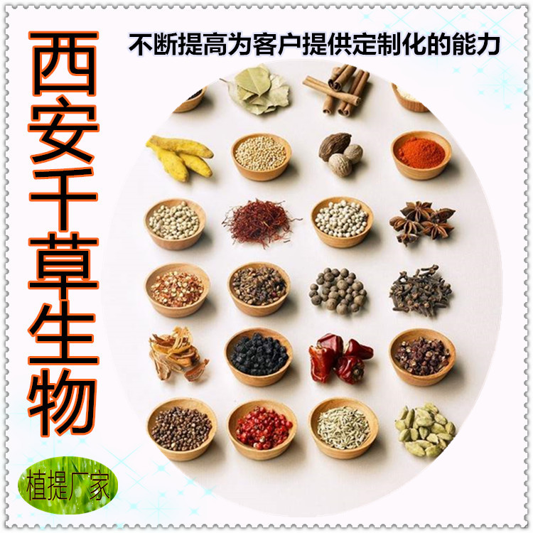 洋葱浓缩汁粉