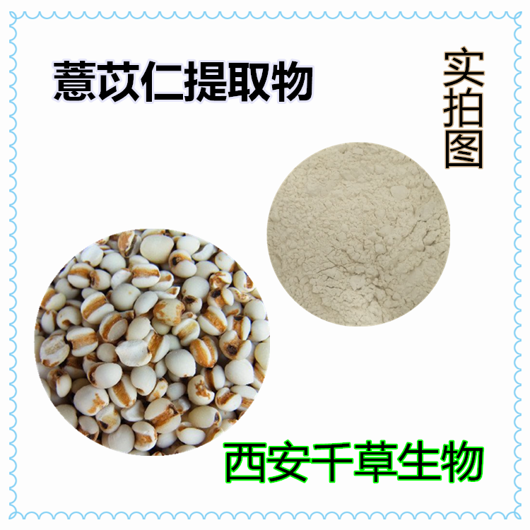 紫花地丁提取物