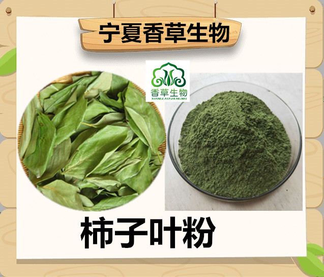 柿子叶粉