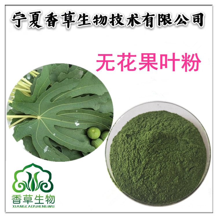 无花果叶粉