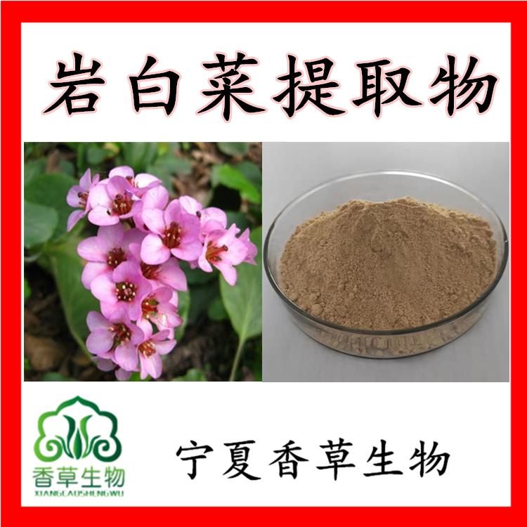 岩白菜提取物