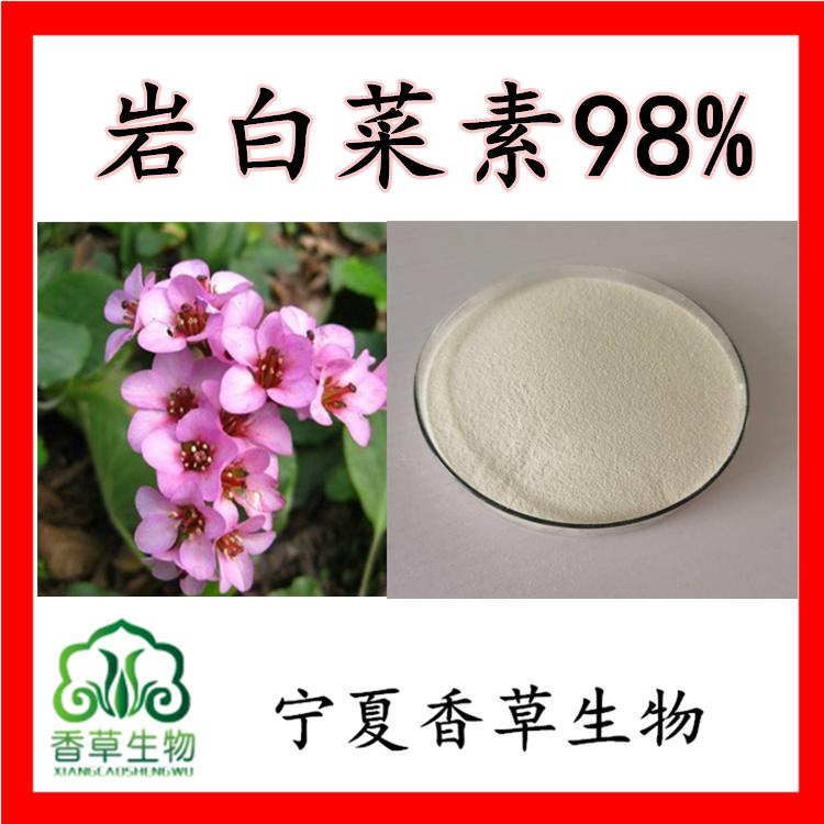 岩白菜素