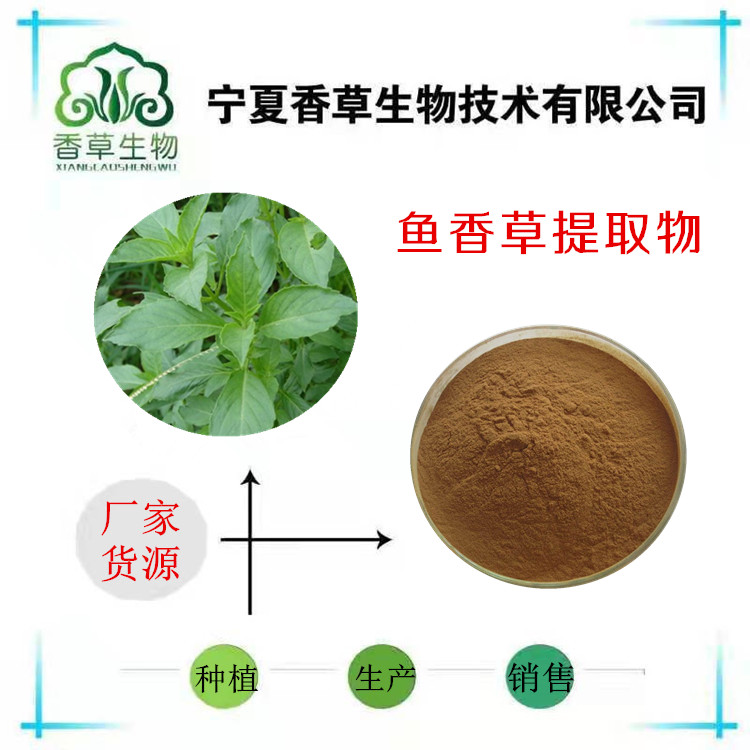 鱼香草提取物