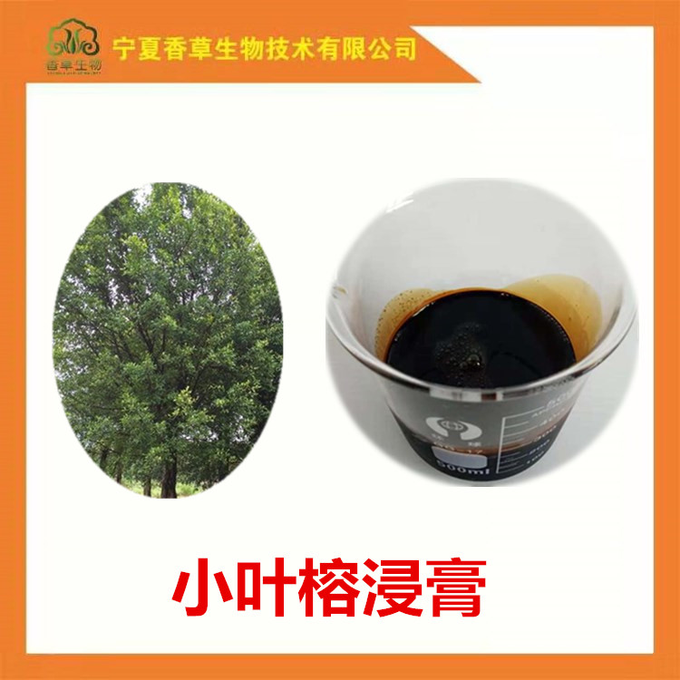 小叶榕浸膏