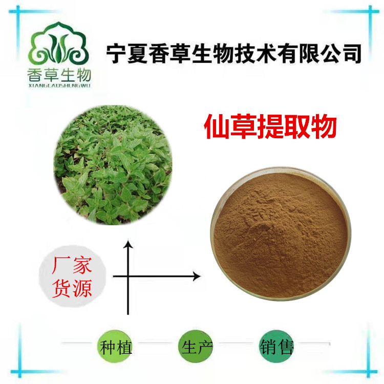 凉粉草提取物