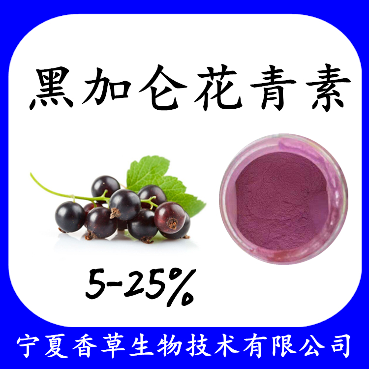  黑加仑花青素