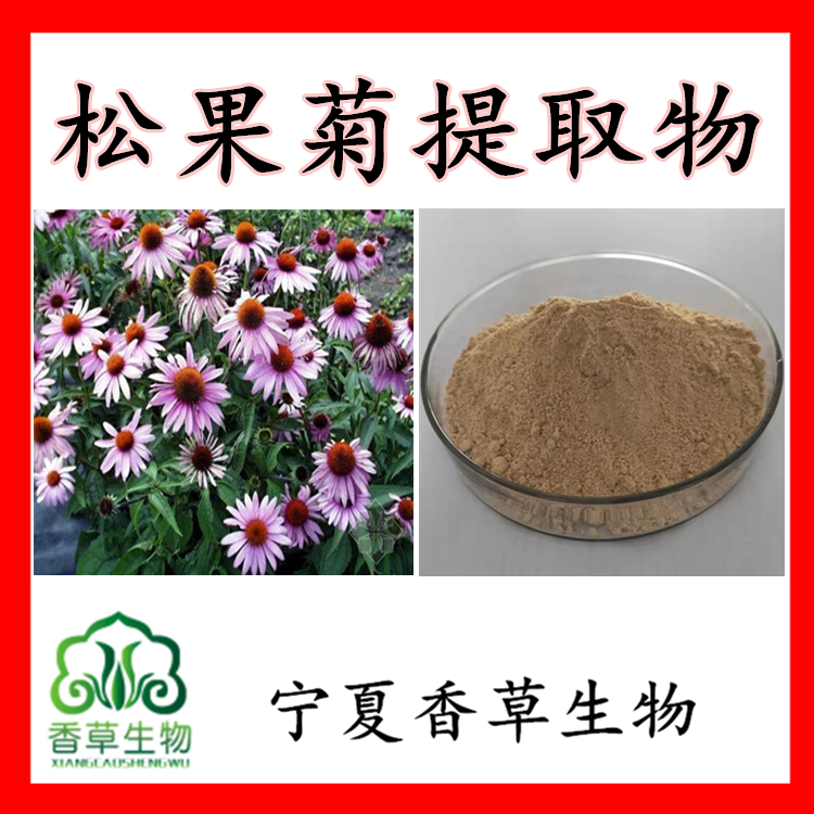  松果菊提取物