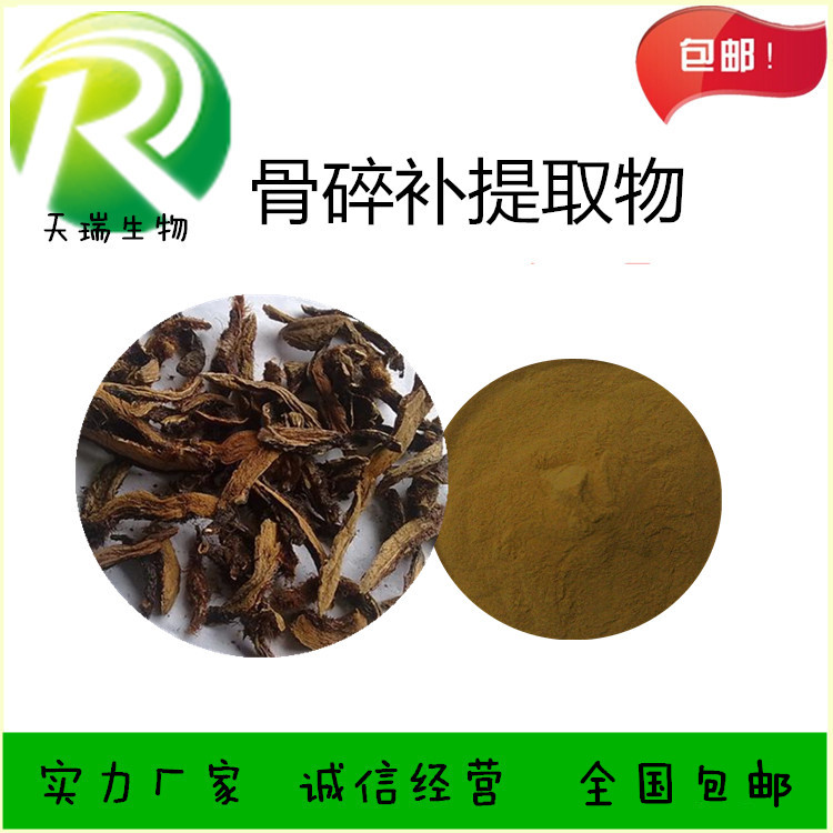 骨碎补_副本