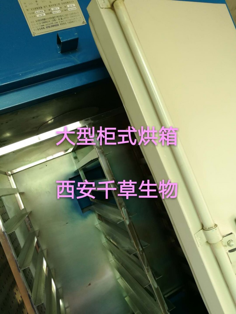 伙伴网