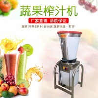 蔬菜榨汁打汁机TJ-30L 打菠菜玉米榨汁 土豆泥 九盈机械