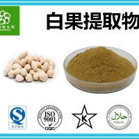 白果提取物 银杏果提取物 专业植提厂家现货 量大批发