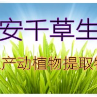 柏子仁提取物易溶 厂家生产植物提取物定做浓缩纯浸膏