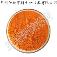 芦荟大黄素 芦荟提取物 大量库存  批发价格