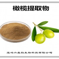 橄榄提取物 橄榄粉 可定制生产