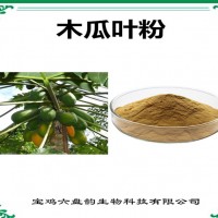 木瓜叶速溶粉 木瓜叶粉 厂家发货