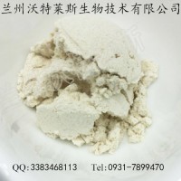 厂家直销供应 黑豆粉 黑豆熟粉 五谷杂粮营养粉