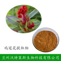 鸡冠花提取物 鸡冠花多肽 鸡冠花液 鸡冠花浸膏