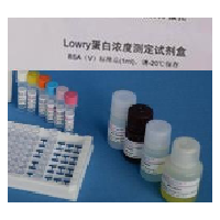 Lowry法蛋白浓度测定试剂盒-1000微孔(100T)