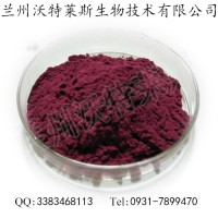 黑枸杞果粉 黑枸杞果汁粉 黑枸杞粉 喷雾干燥粉 现货厂家