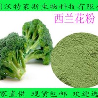 萝卜硫素 西兰花提取物 1% 西兰花粉