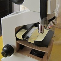 OLYMPUS显微镜CX21