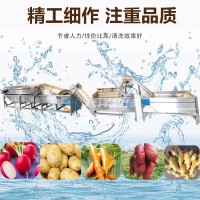 大洋牌经济款净菜加工生产线 连续式中央厨房洗菜流水线