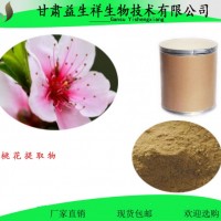 桃花粉 99% 桃花速溶粉     一公斤起订