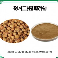 砂仁提取物 砂仁粉 可定制生产 药食同源