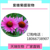 紫锥菊提取物天瑞生物现货包邮