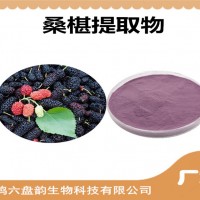 桑椹提取物 桑椹粉 药食同源原料