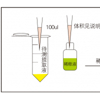 生物素荧光定量试纸条乳品及饮料加工企业