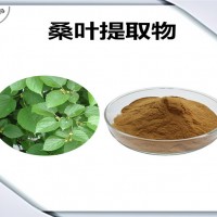 桑叶提取物 桑叶粉 药食同源原料