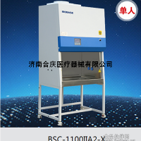 单人生物安全柜1100mm尺寸-750mm门宽可进入实验室