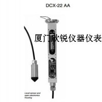 DCX-22AA自动水位记录仪