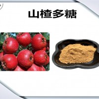 山楂提取物 山楂多糖 厂家发货 可定制