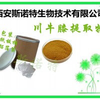 川牛膝提取物 10:1 多种规格 浓缩萃取