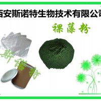 裸藻粉 Euglena powder 新资源食品