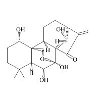 冬凌草甲素28957-04-2上海惠诚生物供应