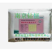 金黄色葡萄球菌薄膜快速测试片