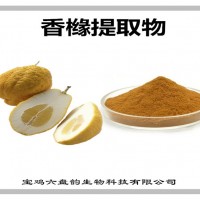 香橼提取物 香橼粉 可定制生产 药食同源