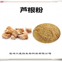 芦根浓缩粉 芦根粉 生产厂家