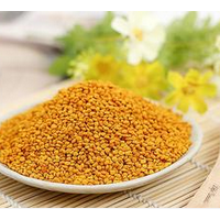 蜂花粉提取物粉 蜂花粉浓缩粉