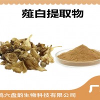 薤白提取物 薤白浸膏粉 可定制生产 药食同源