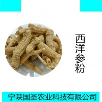 西洋参提取物 西洋参皂甙 西洋参纯粉定制比例提取宁陕国圣现货